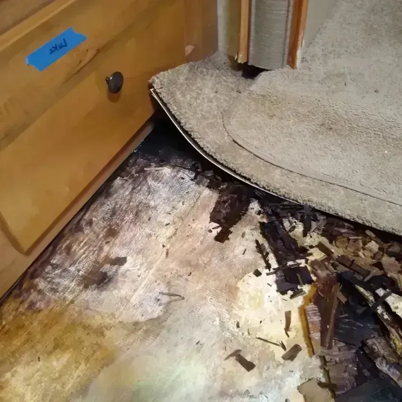 Best Wood Floor Water Damage Service in Texanna, OK